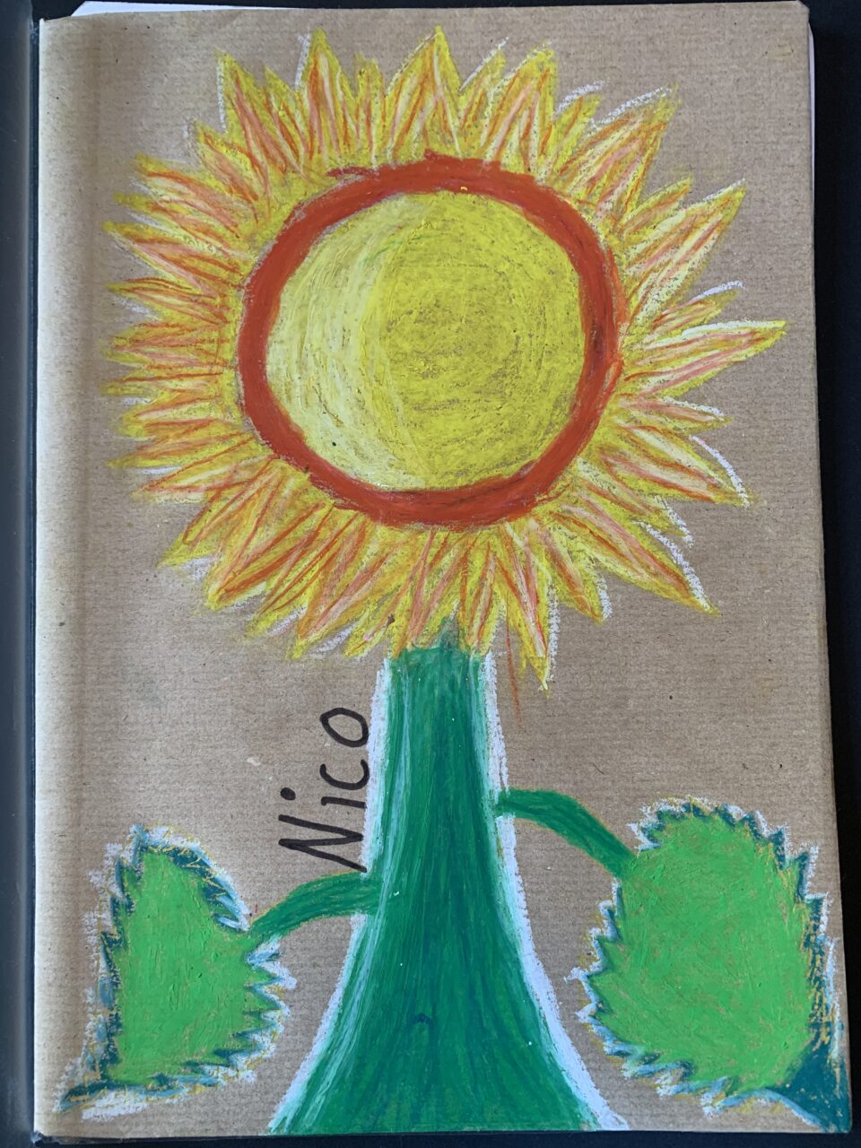 Kunst 9: Sonnenblumen